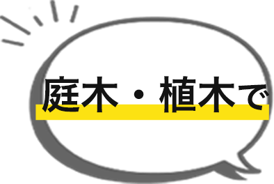 庭木・植木で